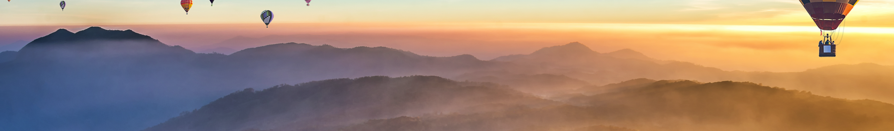 banner-default