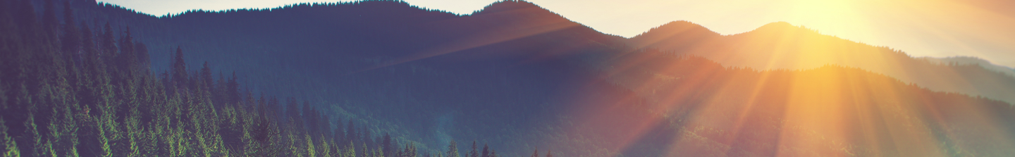 banner-isr
